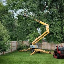 Elmore, OH Tree Services Company